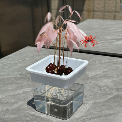 Plant Pot - Transparent Plant Containers - Hydroponic Containers - for Semi-Hydro Cuttings Seedlings African Violets Balcony Desk Garden Porch Windowsill Bedroom Living Room Yard