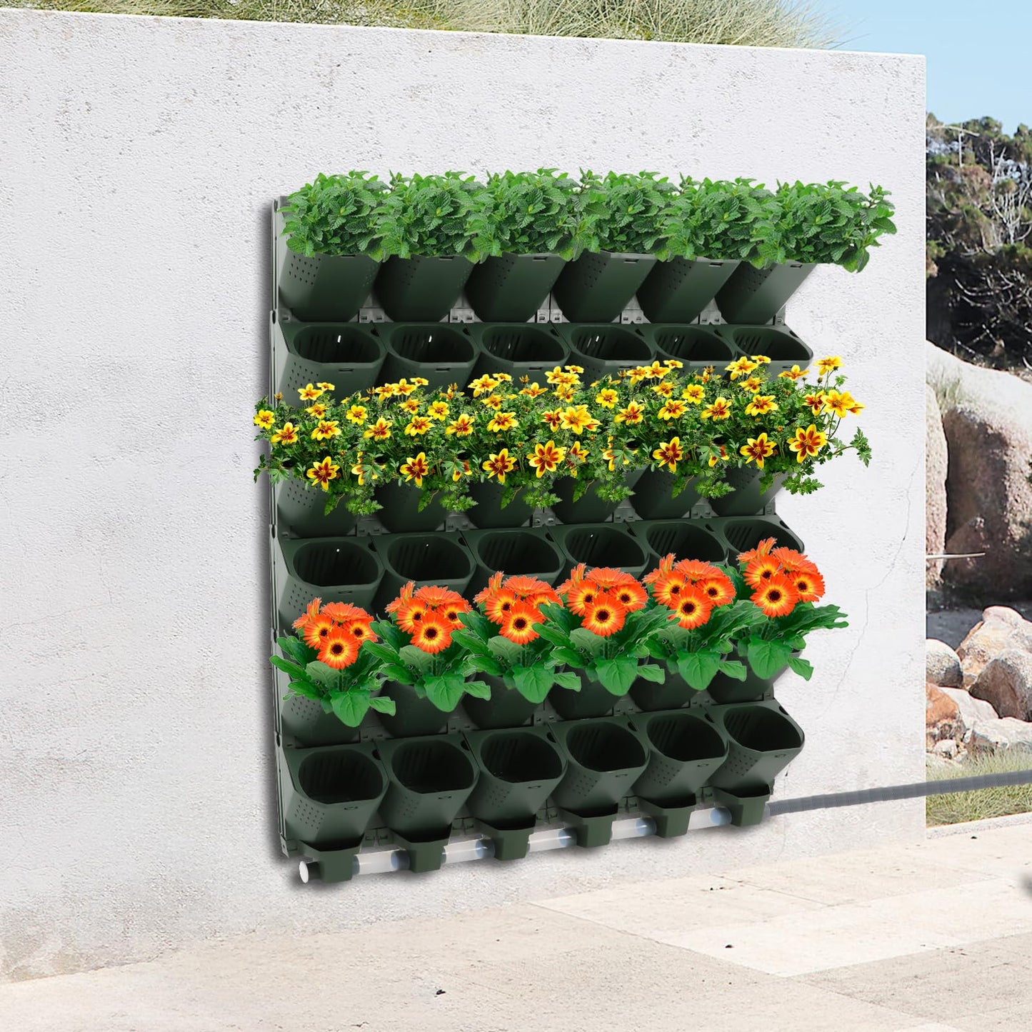 Wall Mounted Vertical Garden Planter, 6 Row 36 Plant Grow Pots, Wall Mounted Vertical Garden Planter with Irrigation System, Indoor Outdoor Flower Pot Holder - Indoor Outdoor Green Wall Decoration