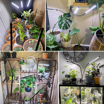 wolezek Grow Lights for Indoor Plants, 2 Pack 6000K Full Spectrum Plant Lights Indoor, White LED Plant Growing Lamp with Auto ON & Off Timer 6/12/16H, 3 Modes, 5-Level Dimmable Brightness