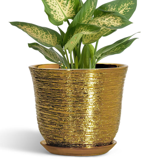 SUNPOTFOR 5.6 Inch Plant Pot - Ceramic Planter for Indoor Outdoor, Round Succulent Orchid Pot with Drainage Hole and Plant Saucer, Modern Decorative Planters, Living Room Decor, Gifts for Women, Gold