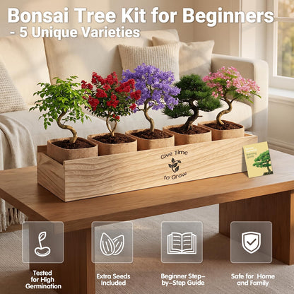 JELHFIP Bonsai Tree Starter Kit for Beginners 5 Unique Indoor Bonsai Trees with Gardening Tools DIY Bonsai Growing Kit Perfect Gifts for Women Men Plant Lovers for Birthday Mothers Day Housewarming