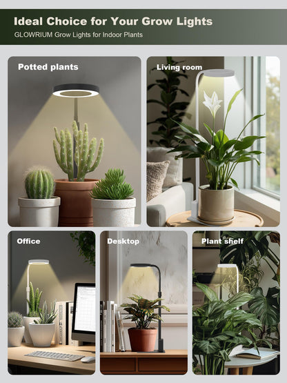 GLOWRIUM Smart LED Grow Lights for Indoor Plants G4, 12W Full Spectrum 3500K with Grow lamp, Bluetooth App Control, 10-Level Dimming, Gooseneck, Height Adjustable 16"-23", Auto Timer, (Black 12W)