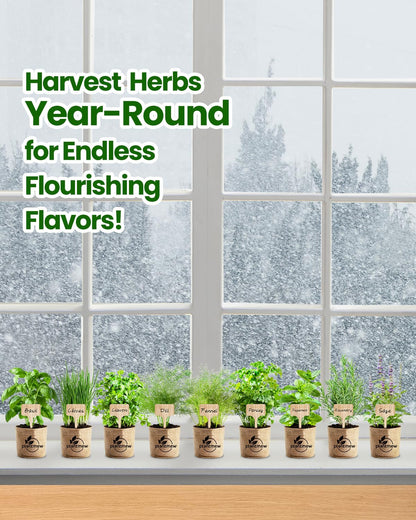 Gift for Women, Mom, Her – 9 Herb Indoor Window Garden Kit | Complete Herb Seeds Starter Set with Pots, Soil, Tools & Markers | Heirloom Herbs | Birthday, Housewarming, New Home, Mother's Day