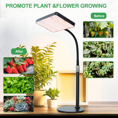 FRGROW 2026 Tabletop Grow Lights for Indoor Plants, Seed Starting, Bonsai, 25 Watt Power Draw, NO Need Adapter, Bright Enough Like A Small Sun, Daisy Chain Function, 16"-24" Height Adjustable