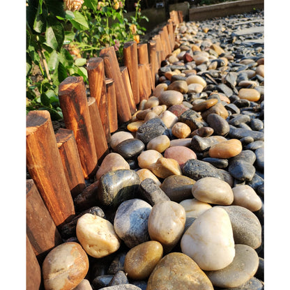 FANTIAN 20 lbs Decorative Pebbles for Outdoor Landscaping, 1-2 inch Polished River Rocks for Plant Outdoor, Aquarium, Vase, Fish Tank Gravel, River Stones and Garden Rocks