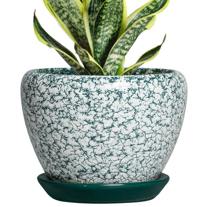 Thirtypot Ceramic Plant Pot - 6 Inch Planters for Indoor Plants, Round Succulent Pots with Drainage Hole and Saucer, Modern Decorative Plant Pots, Bathroom Decor, House Warming Gifts, Crackle Green
