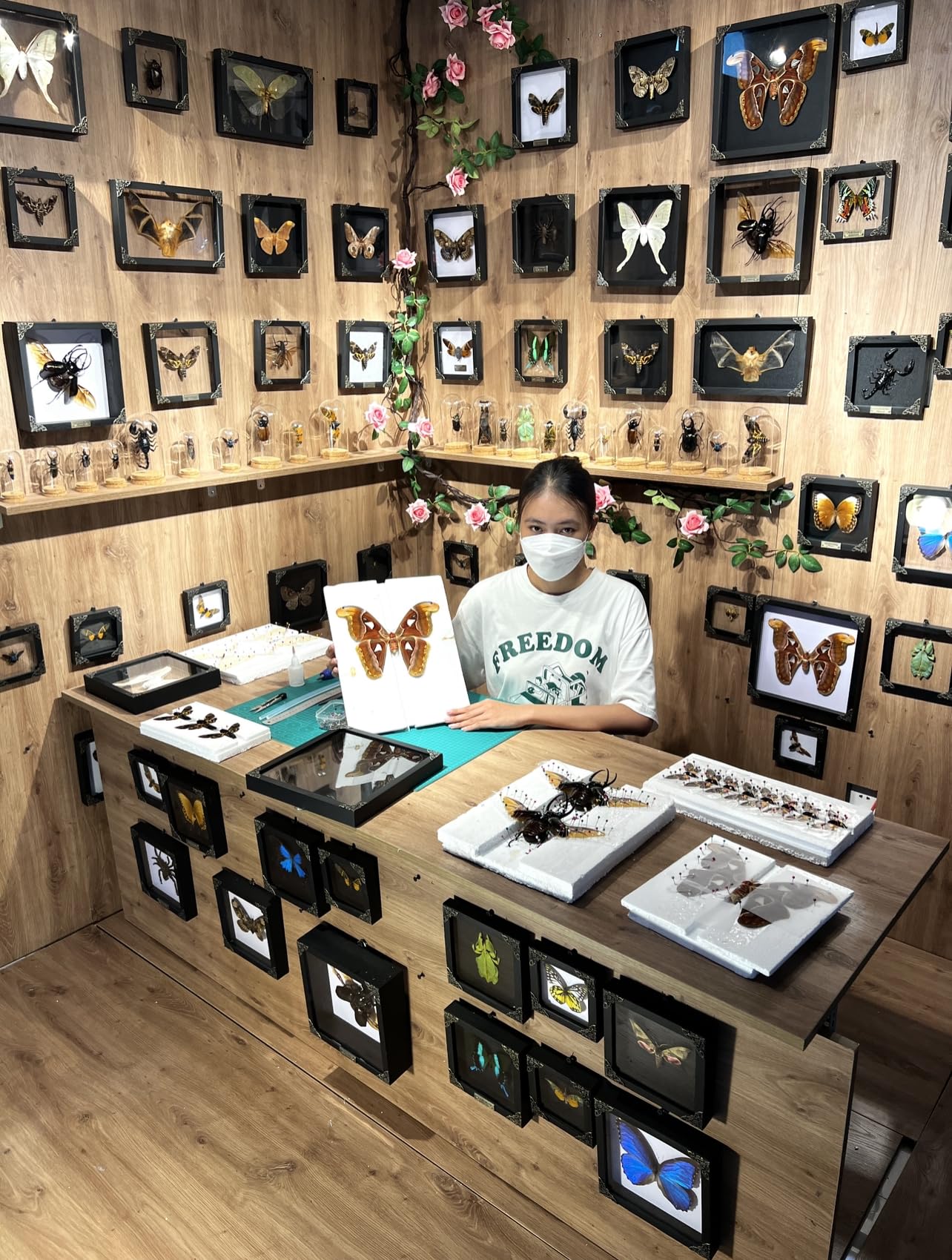 Real Tiger Moth Butterfly Insect Entomology Gifts Shadow Box Taxidermy Specimen Display Oddity Curiosities Tabletop Wall Art Hanging Home Decor Living Room K12-14-TR