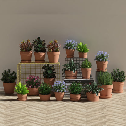 Fcacti 5.5 Inch Clay Pot for Plant with Drainage Hole - 8 Pack Large Terra Cotta Plant Pot, Clay Ceramic Pottery Planter Cactus Flower Pots Succulent Pot, Terracotta Pot for Indoor Outdoor Plant
