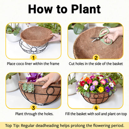 ZeeDix 2 Pack Round Hanging Baskets for Plants Outdoor, 12 Inch Metal Wire Planter Basket with Coco Liner, Hanging Flower Pots for Garden Yard Patio Porch Balcony Decor