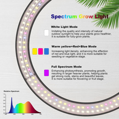 10" Grow Lights for Large Indoor Plants, Full Spectrum Indoor Plant Light for Indoor Growing with Timer,Height Adjustable Auto On/Off 3/9/12H, 9 Brightness,Led Tall Halo Grow Light for House Plants