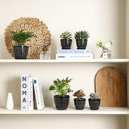 Sureasy Succulent Pots, 3.5 Inch Flower Pots for Indoor Plants, Small Plant Pots with Saucer & Drainage, Decorative Ceramic Planters for Succulent, Cactus, Set of 4, Black