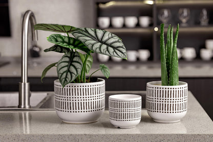 Docrin 3-Pack Ceramic Planters Set - 6.5"+5.3"+4" Dual-Tone Flower Pots with Drainage Holes, Modern Indoor Outdoor Planters for Succulents/Herbs/Large Plants, Home Office (Brownish Black & White)