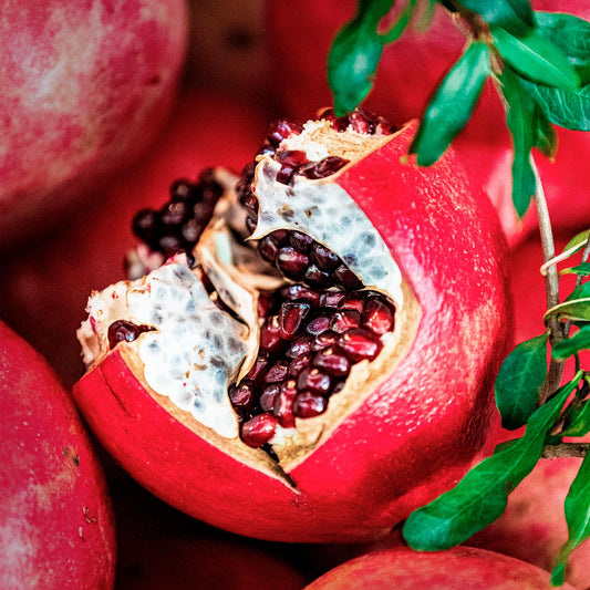 2 Pomegranate Wonderful Trees | Live Saplings in 2.5-inch Nursery Cubes | Punica Granatum 'Wonderful' Variety | Hardy Deciduous Trees and Shrubs | Red Fruit-Bearing Plant