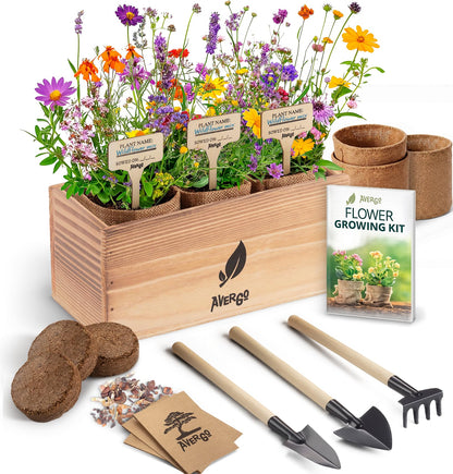 AVERGO Wildflower Seed Mix Growing Kit - Perennial Wild Flowers | Ideal Gift for Mother's Day - Also Includes Planters, Soil, Wooden Box, and Gardening Tools for Indoor Garden and Patio Planting