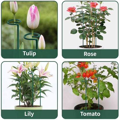 36” Tall Plant Stakes, 6 Pack Plant Support Stakes,6mm Heavy-Duty Metal Garden Stakes, Flower Stakes for Lilies, Dahlias, Gladiolus, Sunflowers, Tomato, Clematis