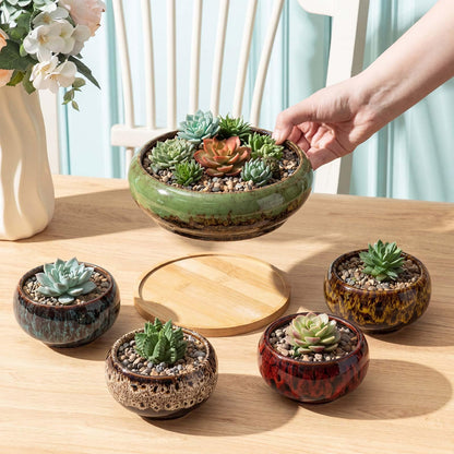 Acellegic 5 Pcs 7.3'' and 4'' Round Large Shallow Succulent Ceramic Planter Pots with Drainage Hole Drip Glazed Shallow Bonsai Pot with Bamboo Tray for Indoor Outdoor Plants Decor Cactus Flower