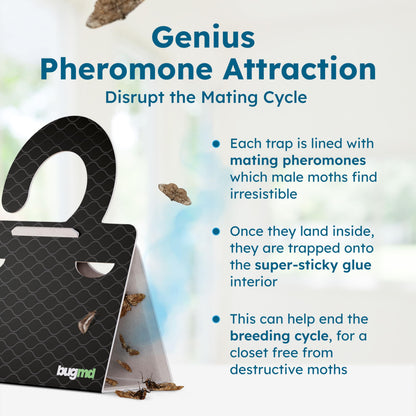 BugMD Clothes & Pantry Moth Traps (18 Count) – Sticky Glue Pheromone-Based Repellent for Closets, Cabinets & Wardrobes – Non-Toxic - Black
