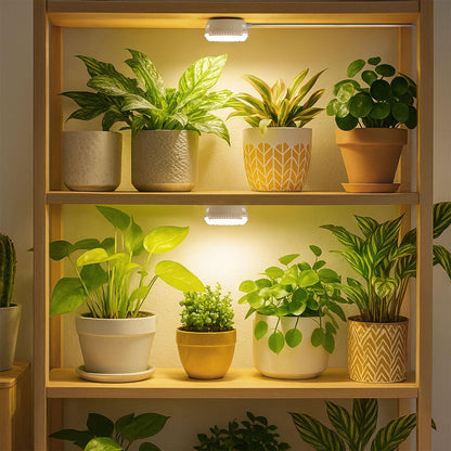 SGLEDS 7W Grow Light for Indoor Plants, Full Spectrum Plant Light with Auto Timer (3/6/12H) & 4-Level Dimming, Small Led Grow Light for Seedlings, Succulents, Herbs