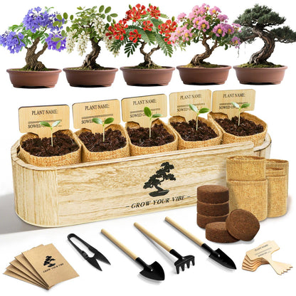 LUOJIBIE Bonsai Tree Kit for Beginners - Unique Gifts for Women, Crafts for Adults, for Women & Men,Complete Indoor Plant Kit,Easy House Plant