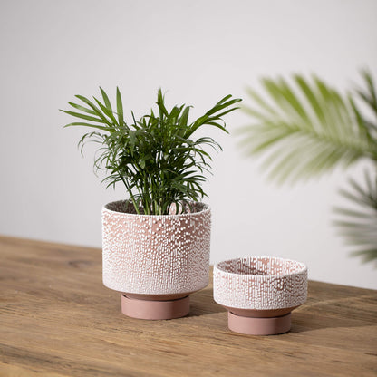 UBEE Planter Ceramic Flower Pot for Indoor Plants | 5.5 inch + 4.9 inch Plant Pot with Saucer and Drainage Hole for Aloe, Snake Plants, Pothos, Orchid, Terracotta with White Glaze Dot