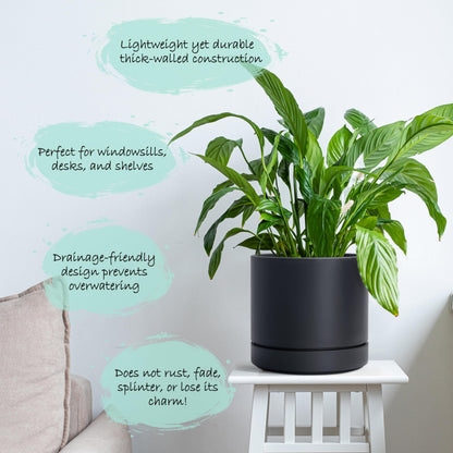 Phoenix Vine 6 Inch Planter Pot with Drainage Hole & Saucer, Deep Water Catch Tray, Straight Cylindrical Round Pot for Plants, Matte Black, Pack of 3, 23-C-S-3