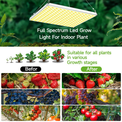 LED Grow Light for Indoor Plants Full Spectrum Plant Light for Seedling, Hydroponic, Greenhouse, Succulents, Flower