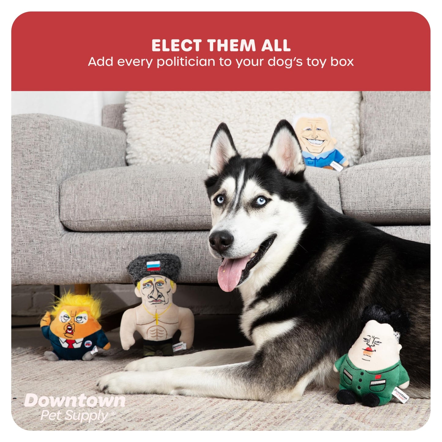 Downtown Pet Supply Supreme Leasher Political Dog Toy - Novelty Political Parody, Dog Chew Toy with Squeaker - Plush Design with Double Stitching