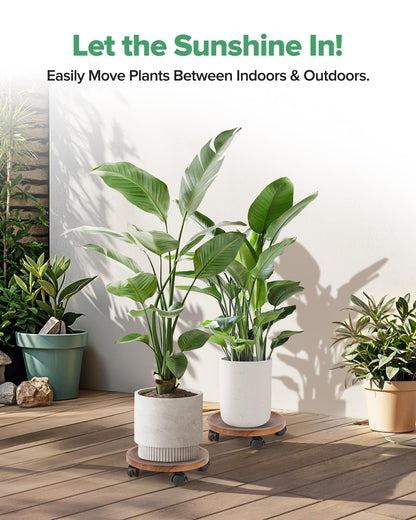 AZADESJET 2 Pack Plant Caddy with Wheels, 12" Wood Rolling Plant Stand with 360° Lockable Wheels, Plant Stands Outdoor for Large Plants, Flower Cart Plant Dolly Plant Caster for Heavy Objects, Walnut