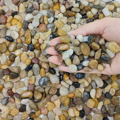 FANTIAN 5 lbs Polished Pebbles, 3/8 Inch Pea Gravel for Plants, Decorative Stones River Rocks for Succulent Soil Cover, Cactus, Aquarium, Vase and Outdoor Garden Landscaping