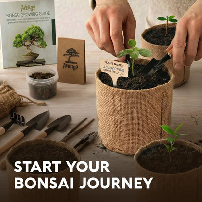 AVERGO Bonsai Tree Kit Deluxe - 5X Unique Japanese Bonzai Trees | Complete Indoor Bonsai Starter Kits from Seeds to Trees – DIY Gardening Gifts for Mother's Day, Women & Men