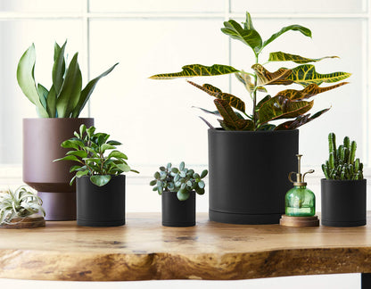 D'vine Dev 10 Pack Plastic Plant Pots for Plants, 6.5/6/5.5/5/4.5/4/3.5/3/2.5/2 Inch Indoor Planters Cylindrical Succulent Pot with Drainage Hole and Saucer, Black, 74-S-B