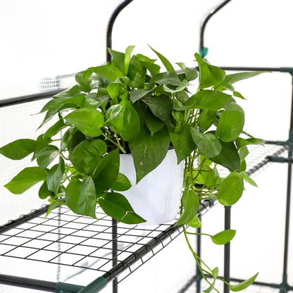 SUNGIFT Greenhouse for Outdoors, Walk-in Greenhouses 56 x 85 x 77 Inch, Portable Green House 3 Tiers 20 Shelves for Garden, Patio, Backyard, White