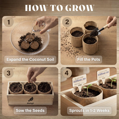 AVERGO Wildflower Seed Mix Growing Kit - Perennial Wild Flowers | Ideal Gift for Mother's Day - Also Includes Planters, Soil, Wooden Box, and Gardening Tools for Indoor Garden and Patio Planting