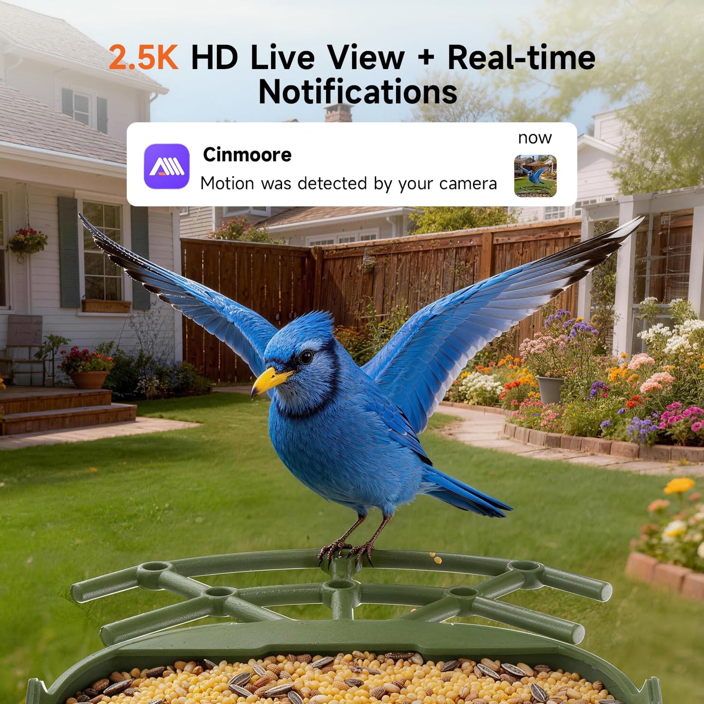 CINMOORE Smart Bird Feeder with Camera - Solar Powered, AI Bird Recognition, 2.4G WiFi 2.5K HD Video Live Stream, Full Color Night Vision, Instant Arrival Alerts, Weatherproof Bird House for Outside