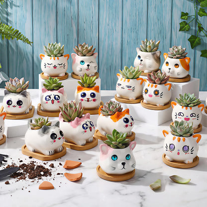 Cindeer 18 Pcs 2.5 Inch Cat Ceramic Succulent Planter Pots – Cute Cat Small Pots with Drainage Hole and Bamboo Tray for Succulents, Cactus, Home Garden Office Desk Decoration Gift Ideas