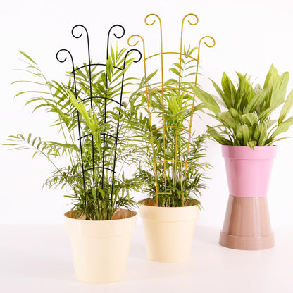 Plant Trellis Indoor 3 Pack 30 Inch Trellis for Climbing Plants Indoor Trellis for Potted Plant Support for Hoya Vines Ivy(Gold, 30 inch)