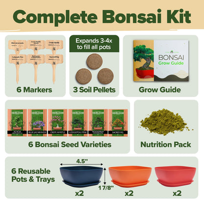 HOME GROWN Bonsai Tree Kit – 6 Heirloom Varieties with Unique Pots – DIY Bonsai Starter Kit for Adults & Beginners – Christmas Gift for Men Women Gardeners Plant Lovers – Indoor Growing Kit