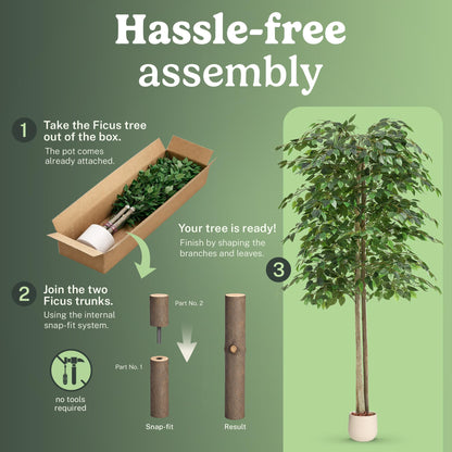 Maia Shop 2 Pack 6ft Artificial Ficus Tree Indoor - Tall Faux Plant with Natural Wood Trunk in Designer Pot with Wood Chips - Fake Plant for Home Office & Living Room Decor