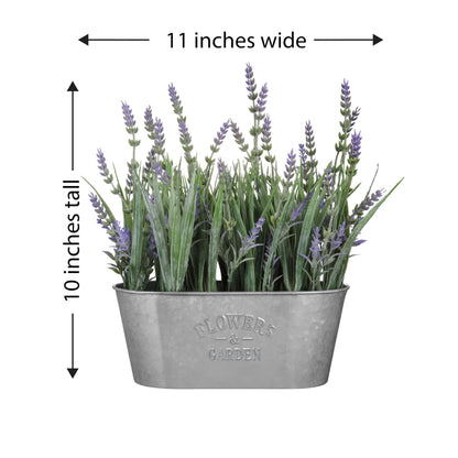 Haute Decor 10 Inch Lavender in Galvanized Metal Pot