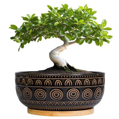 Eightpot Ceramic Bonsai Pots - 8 Inch Plant Pot for Succulent, Round Planter for Indoor Plants, Shallow Planters with Drainage Hole and Tray, Boho Bonsai Bowl, Living Room Decor, Black