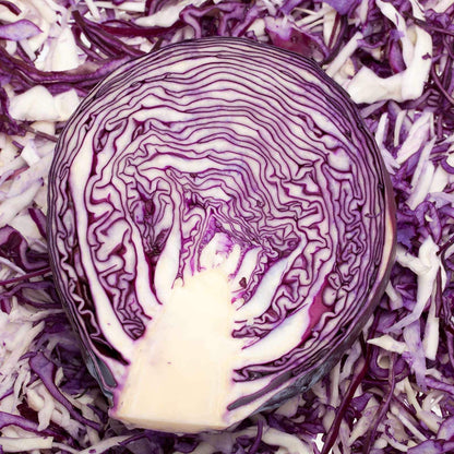 Red Rock Mammoth Cabbage Seeds: 1 Lb - Non-GMO, Chemical Free Sprouting Seeds for Vegetable Garden & Growing Micro Greens