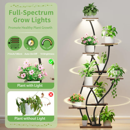 Plant Stand Indoor with Grow Lights - Lighted Plant Shelf Indoor Tall, 61" 9 Tier Large Plant Stands for Indoor Growing, 2 Pack Corner Flower Shelf, Winged Metal Holder for Home Living Room, Black