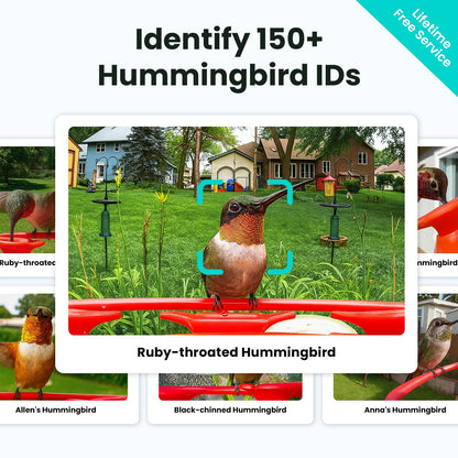 Birdfy Hummingbird Feeder with Dual Cameras - 2K HD Smart Cameras Solar Powered, Close-Up Bird Video/Live Watching & Instant Notifications, Ant Moat & Leakproof - 20oz (AI Lifetime)