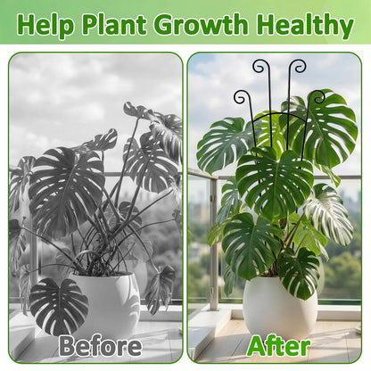 Monstera Plant Support - 4-Pack of 32.6" Tall Plant Trellis Stakes for Large Indoor Vines | Adjustable Dual Pole Frame for Monstera Deliciosa & Potted Plants
