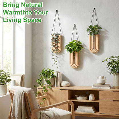 BrightRow Set of 4 Wooden Wall Planter Vase Hanging Propagation Stations Glass Plant and Flower Vases Wall Plant Holder for Indoor Plants Art Boho Home Room Entryway Hallway Decoration