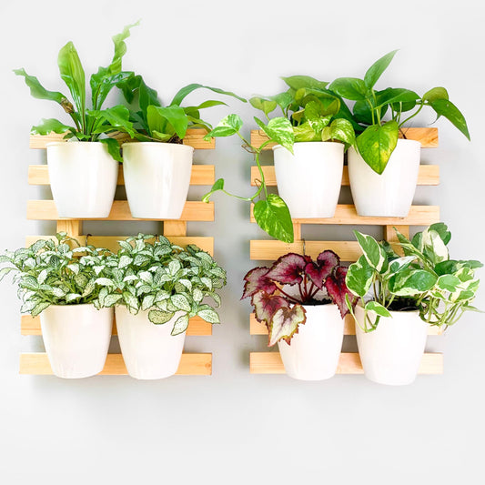 ShopLaLa Wall Planter (40cm, 2 Pack) Wooden Hanging Planters with Clear Paint Finish, Ladder-Style Wall Mount Plant Holders for Indoor Plants, Succulents, Orchids Vertical Garden Balcony Outdoor Decor