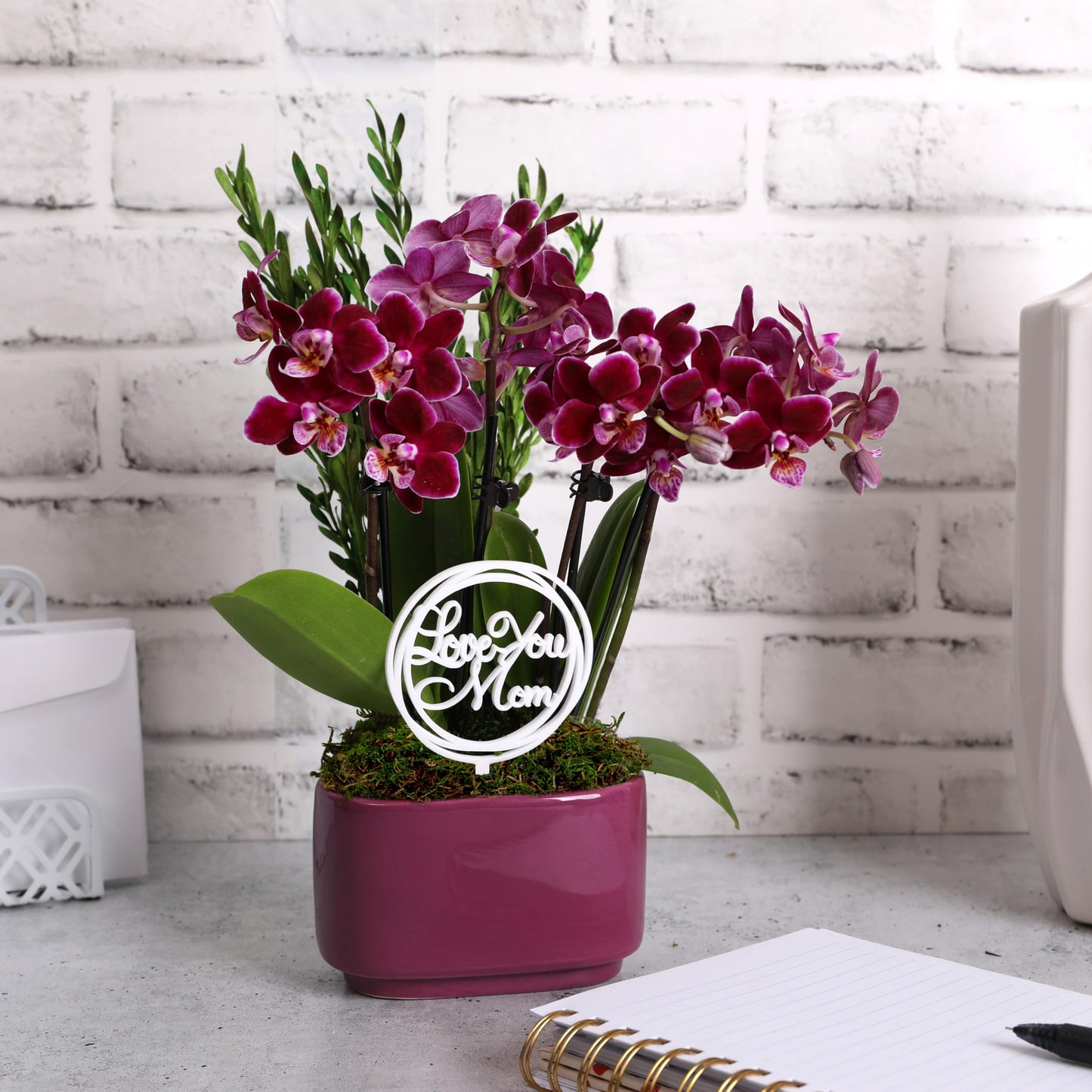 Green Circle Growers 4" Dark Purple Orchid Duo in Purple Pot with Love You Mom Pick, Live Indoor Plants, House Plant