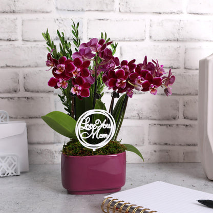 Green Circle Growers 4" Dark Purple Orchid Duo in Purple Pot with Love You Mom Pick, Live Indoor Plants, House Plant
