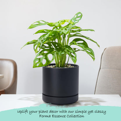 Phoenix Vine 6 Inch Planter Pot with Drainage Hole & Saucer, Deep Water Catch Tray, Straight Cylindrical Round Pot for Plants, Matte Black, Pack of 2, 23-C-S-2