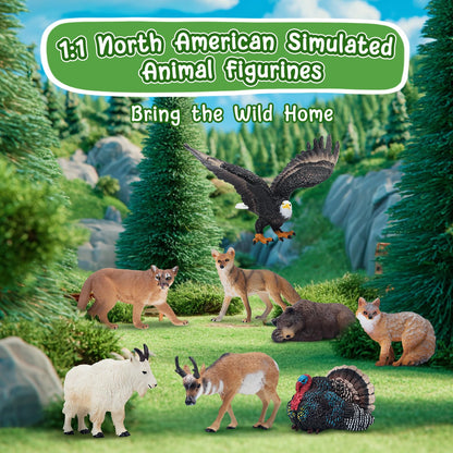 Toymany 14PCS Mini North American Forest Animals Figurines, Realistic Jungle Animal Toys Includes Elk Pronghorn Leopard Gey Fox for Kids Adults Toddlers